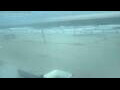 Webcam Bredene