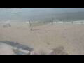 Webcam Bredene