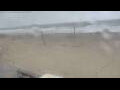 Webcam Bredene