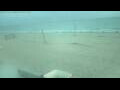 Webcam Bredene