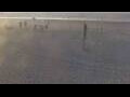 Webcam Bredene