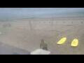 Webcam Bredene