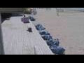 Webcam Bredene