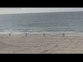 Webcam Bredene