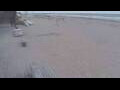 Webcam Bredene