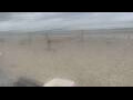 Webcam Bredene
