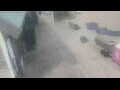 Webcam Bredene