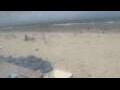 Webcam Bredene