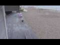 Webcam Bredene