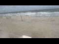 Webcam Bredene
