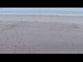 Webcam Bredene
