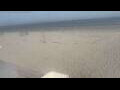 Webcam Bredene
