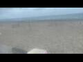 Webcam Bredene
