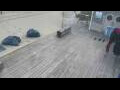 Webcam Bredene