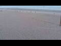 Webcam Bredene