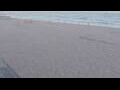 Webcam Bredene