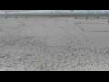 Webcam Bredene