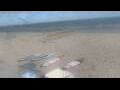 Webcam Bredene