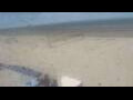 Webcam Bredene