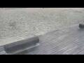 Webcam Bredene