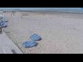 Webcam Bredene