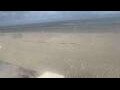 Webcam Bredene
