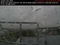 Webcam Lethbridge