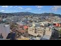 Webcam Dunedin