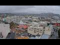 Webcam Dunedin