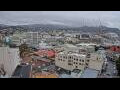 Webcam Dunedin