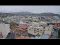 Webcam Dunedin