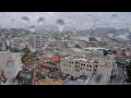 Webcam Dunedin