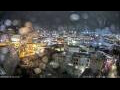 Webcam Dunedin