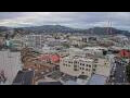 Webcam Dunedin