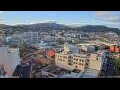 Webcam Dunedin