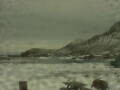 Webcam Bird Island Research Station