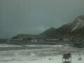 Webcam Bird Island Research Station
