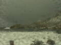 Webcam Bird Island Research Station