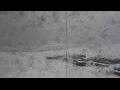 Webcam Palmer Station