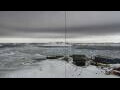 Webcam Palmer Station