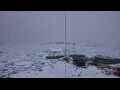 Webcam Palmer Station