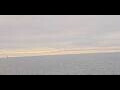 Webcam AIDAmar