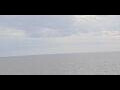 Webcam AIDAmar