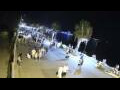 Webcam Didim