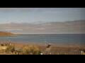 Webcam Filey