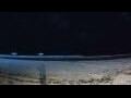 Webcam Diani Beach
