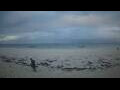 Webcam Diani Beach