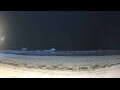 Webcam Plage de Diani