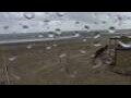 Webcam Westende