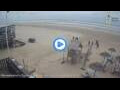 Webcam Egmond aan Zee